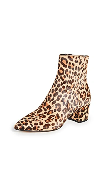 Shop Dolce Vita Bel Point Toe Booties In Dark Leopard