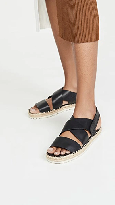 Shop Vince Tenison Sandals In Black