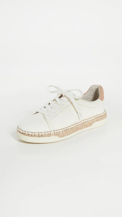 Shop Dolce Vita Madox Sneakers In White