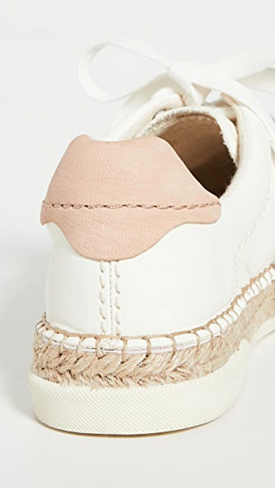 Shop Dolce Vita Madox Sneakers In White