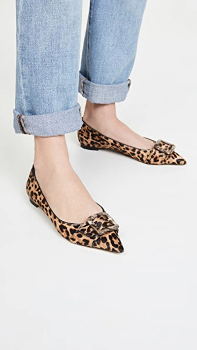 Shop Sam Edelman Sonja Flats In Brown Leopard