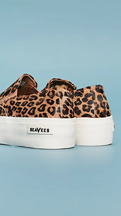 Shop Seavees Baja Platform Mulholland Sneakers In Leopard