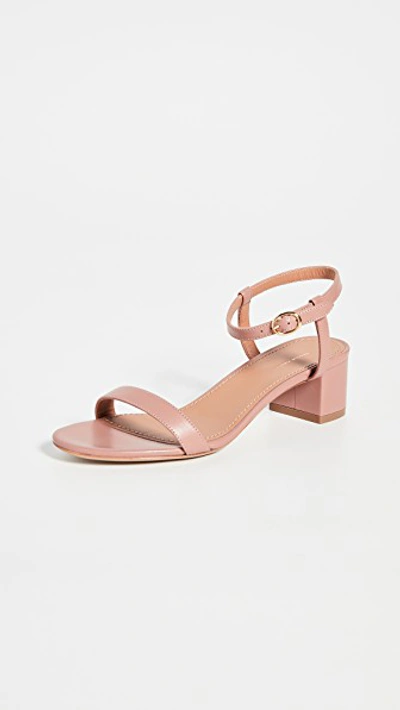 Shop Mansur Gavriel Ankle Strap Sandals In Taupe