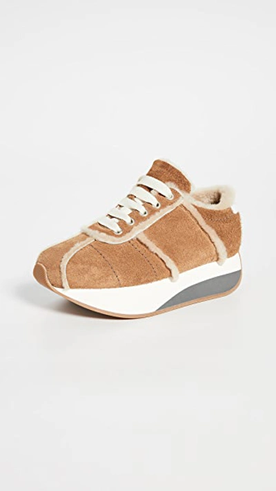 Shop Marni Platform Lace Up Sneakers In Caramel