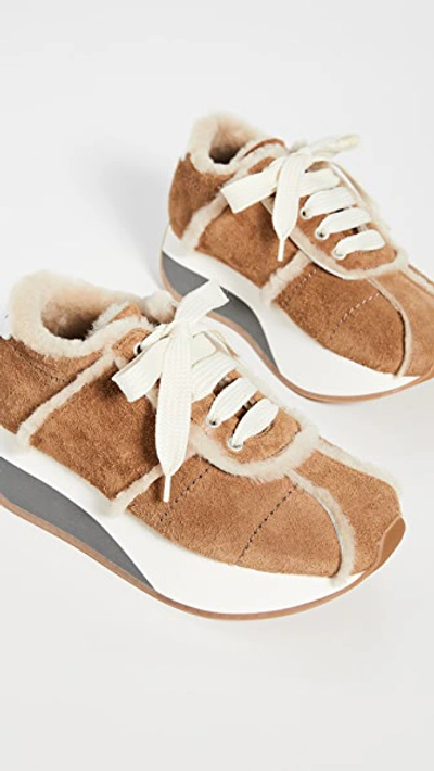 Shop Marni Platform Lace Up Sneakers In Caramel