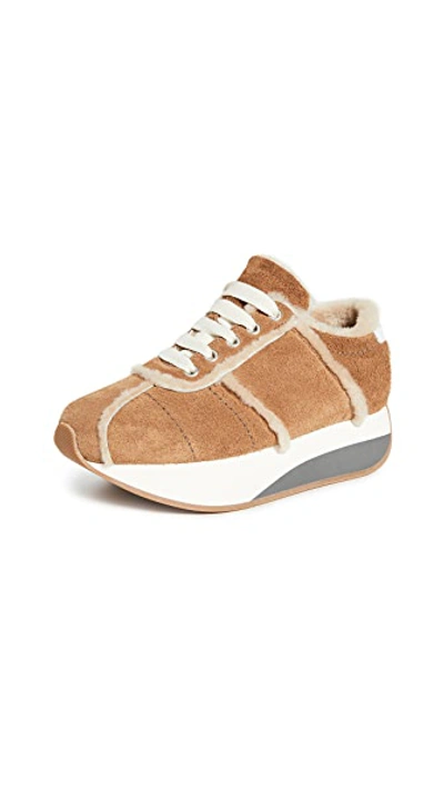 Shop Marni Platform Lace Up Sneakers In Caramel