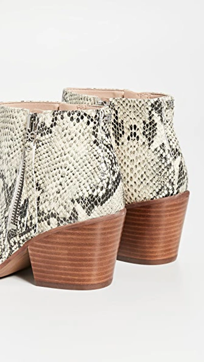 Shop Sam Edelman Walden Booties In Black/snake Print