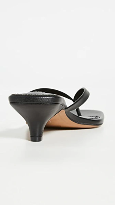 Shop Steven Tippie Sandals In Black