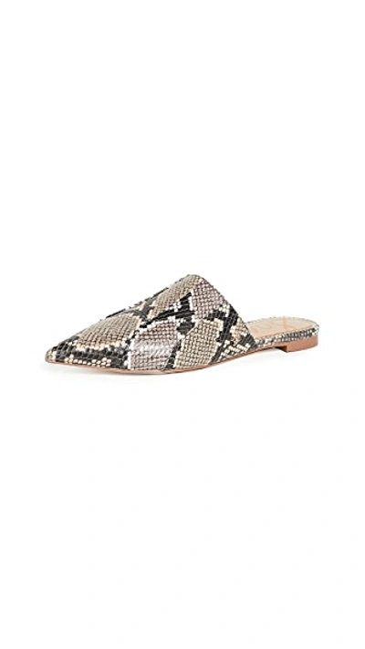 Shop Sam Edelman Seena Mules In Pale Blush/taupe/desert Multi