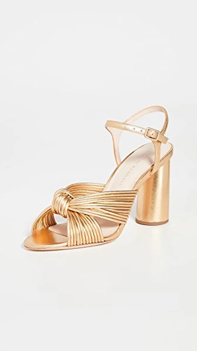 Shop Loeffler Randall Cece High Heel Knot Ankle Strap Sandals In Gold
