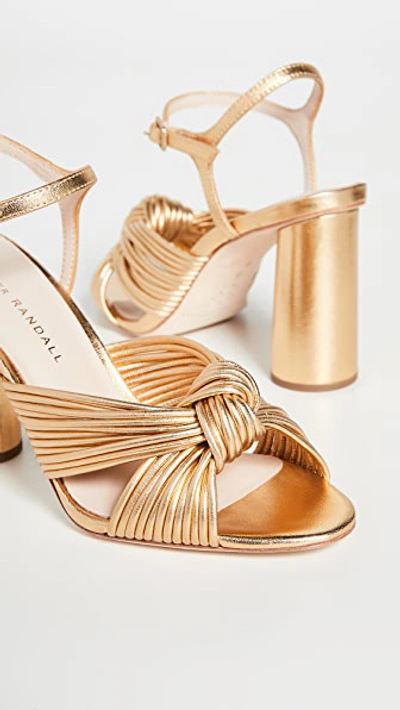 Shop Loeffler Randall Cece High Heel Knot Ankle Strap Sandals In Gold