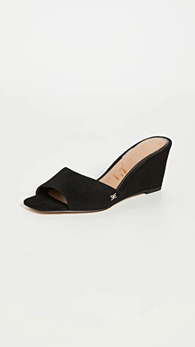 Shop Sam Edelman Tesma Slides In Black