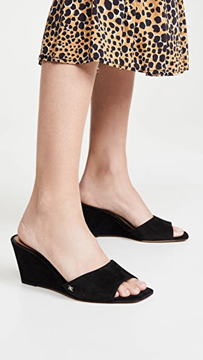 Shop Sam Edelman Tesma Slides In Black