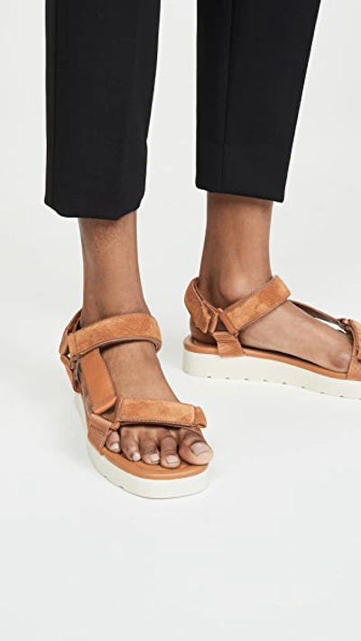 Shop Vince Carver Sandals In Tan