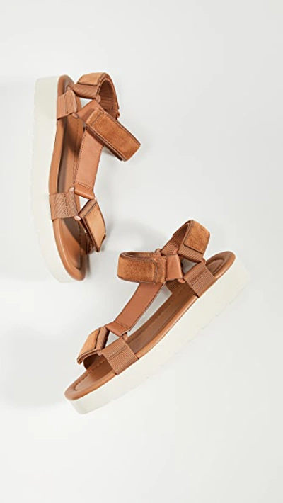 Shop Vince Carver Sandals In Tan