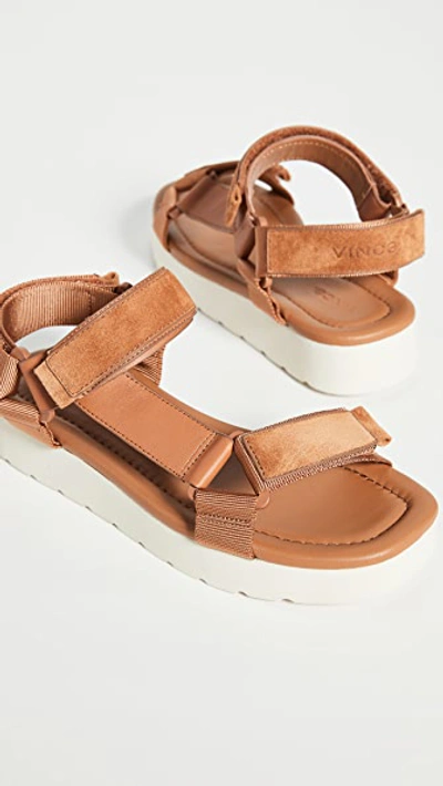 Shop Vince Carver Sandals In Tan