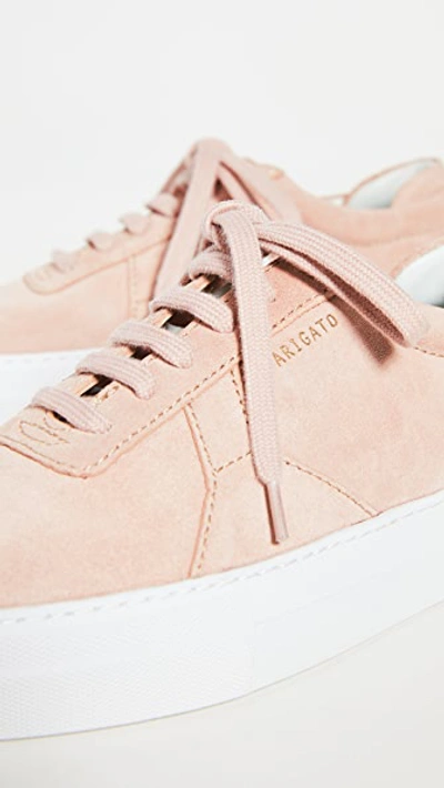 Shop Axel Arigato Platform Sneakers In Pale Pink