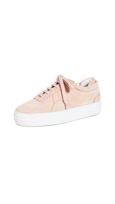 Shop Axel Arigato Platform Sneakers In Pale Pink