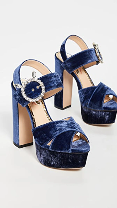 Shop Charlotte Olympia Aristocrat Tall Platform Sandals In Midnight Blue