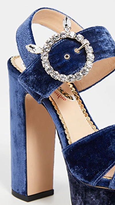 Shop Charlotte Olympia Aristocrat Tall Platform Sandals In Midnight Blue