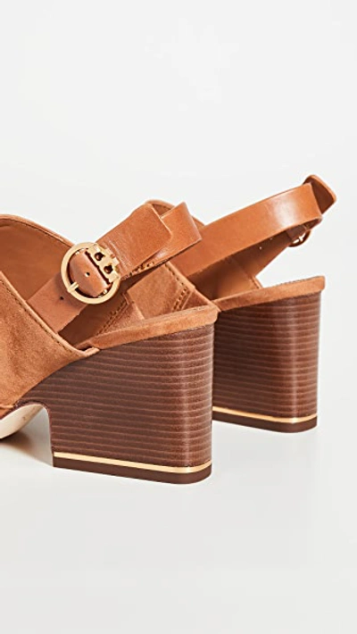 Shop Tory Burch Selby 75mm Block Heel Sandals In Ambra