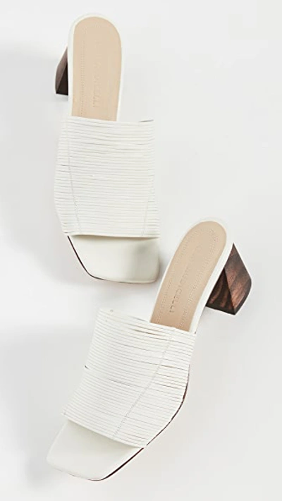 Shop Mari Giudicelli Gisele Sandals In Off White