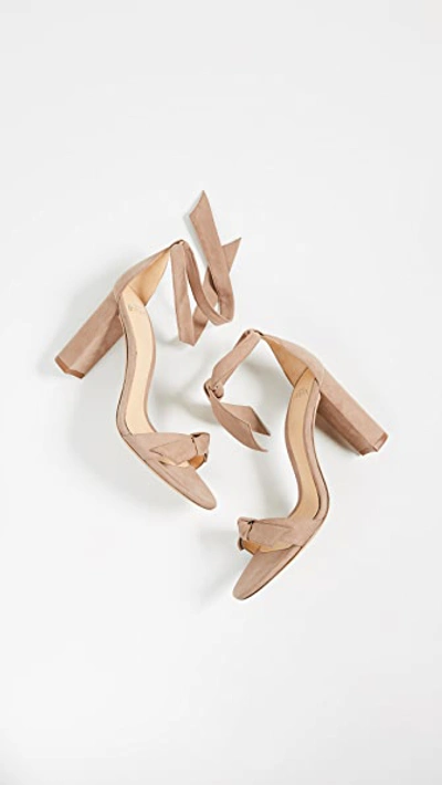 Alexandre Birman Clarita Bow-embellished Leather Sandals In Cameo