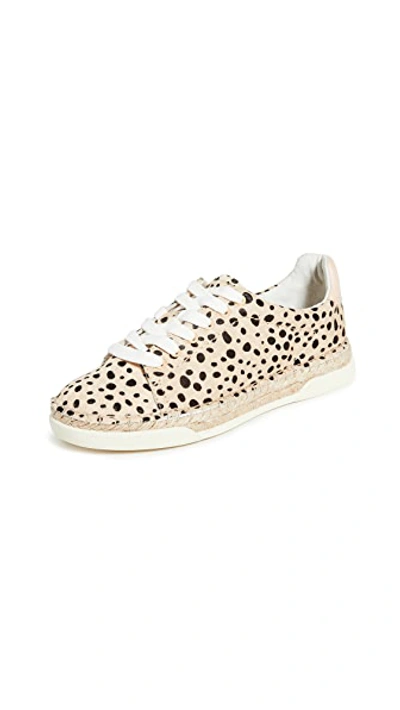 Shop Dolce Vita Madox Sneakers In Leopard