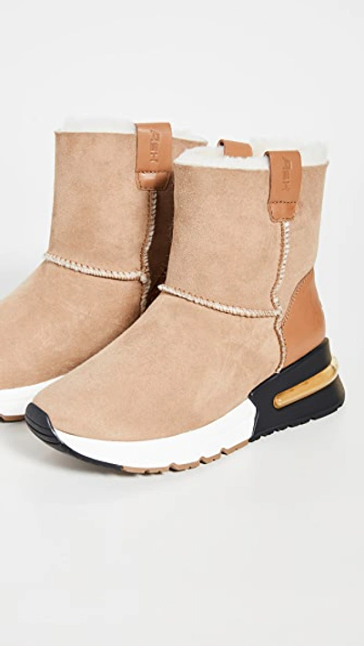 Shop Ash Kyoto Sneaker Boots In Camel