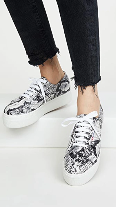 Shop Superga 2790 Animal Platform Sneakers In Black White