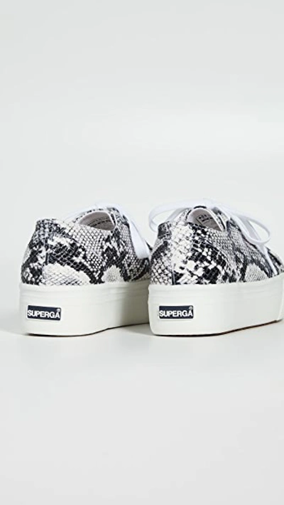 Shop Superga 2790 Animal Platform Sneakers In Black White