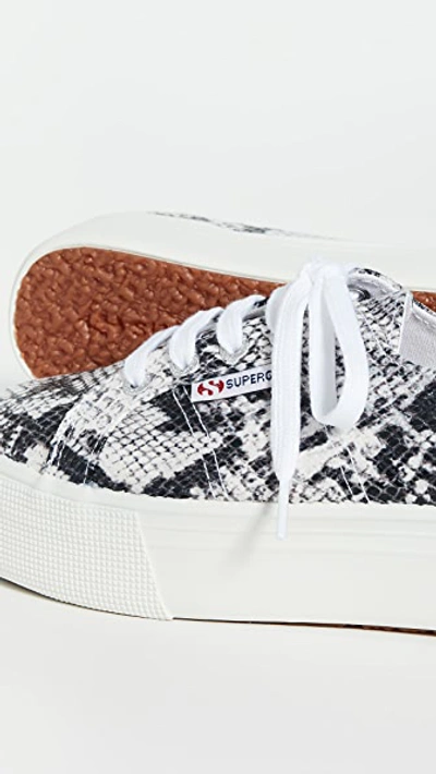 Shop Superga 2790 Animal Platform Sneakers In Black White