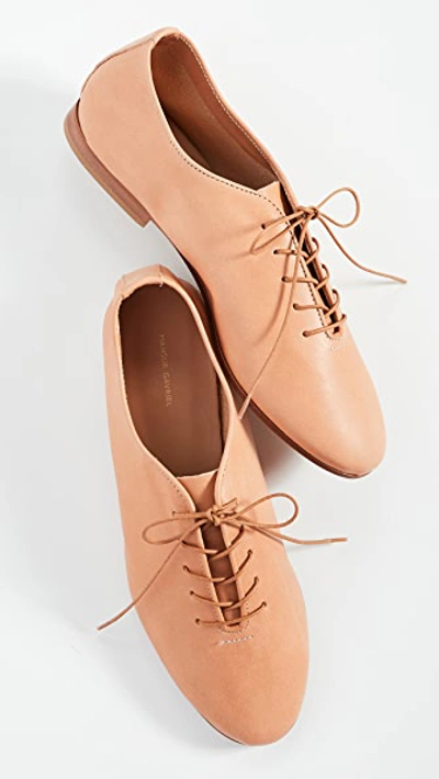 Shop Mansur Gavriel Lace Up Oxfords In Cammello