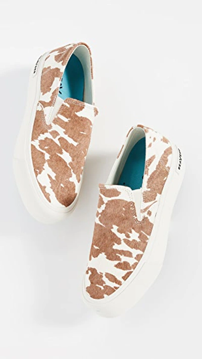 Shop Seavees Baja Platform Mulholland Sneakers In Rancho