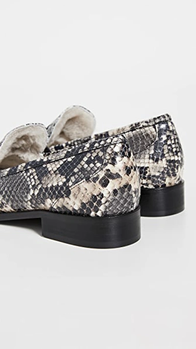 Shop Brother Vellies Library Loafers In Python