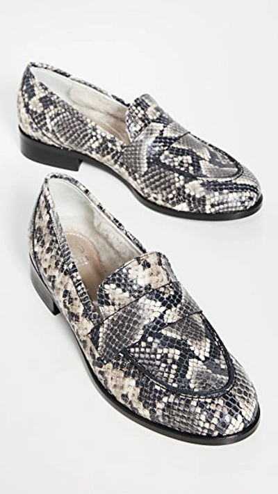 Shop Brother Vellies Library Loafers In Python