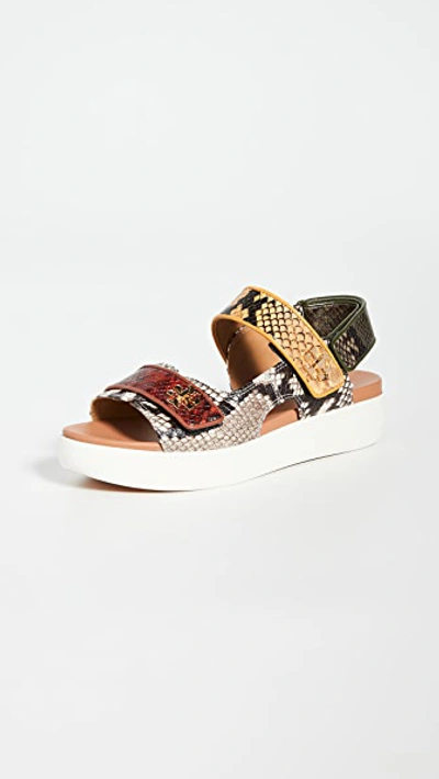 Shop Tory Burch Kira Sport Sandals In Warm Roccia/dark Sienna