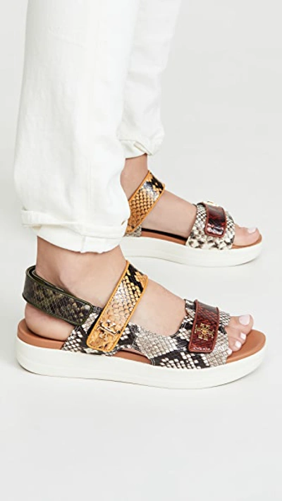 Shop Tory Burch Kira Sport Sandals In Warm Roccia/dark Sienna