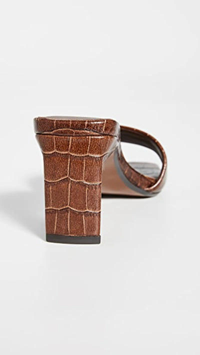 Senso Maisy I Croc-embossed Slide Sandals In Cocoa
