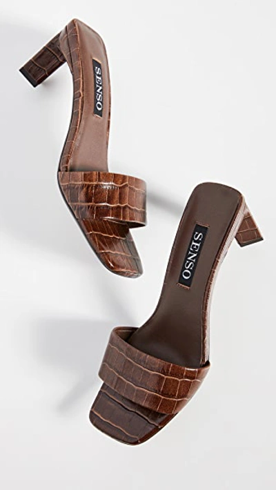 Shop Senso Maisy Slides In Cocoa