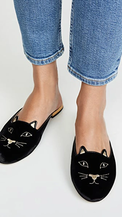 Shop Charlotte Olympia Kitty Slippers In Black