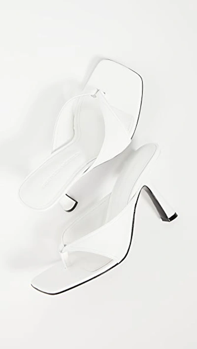 Shop Sigerson Morrison Kaliska Sandals In White