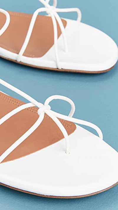Shop Zimmermann Strappy Flat Sandals In Off White