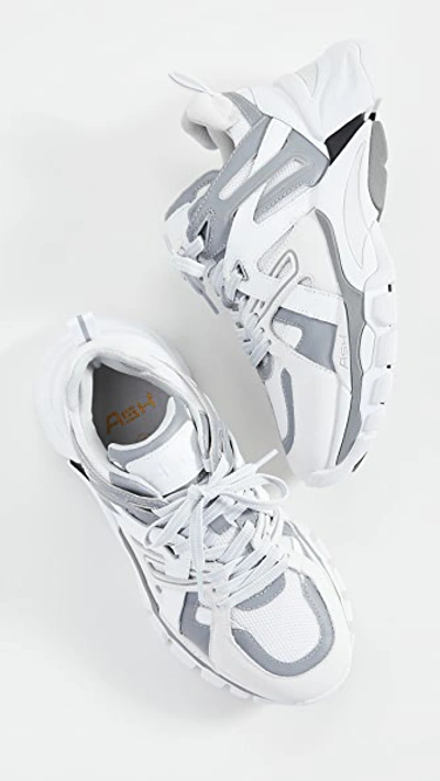 Flash Sneakers
