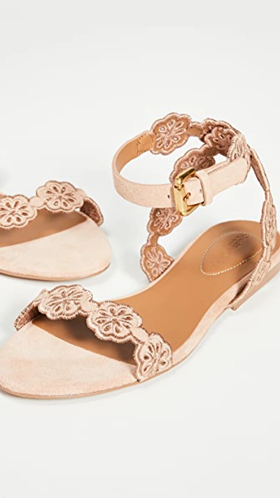 Kristy Flat Floral Suede Sandals In Cipria