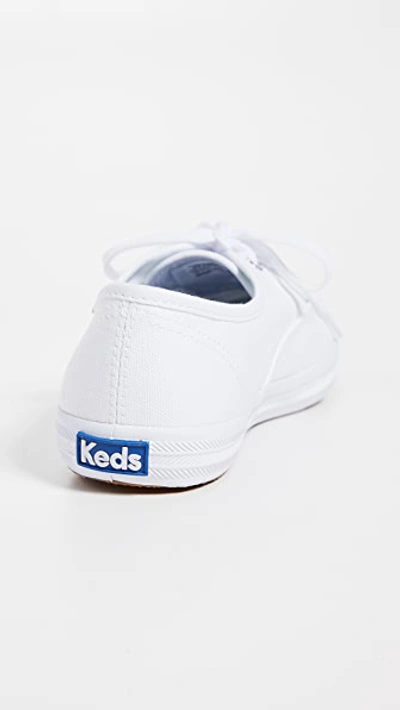 Keds Champion Core Sneakers In White