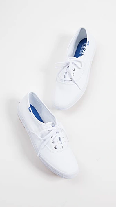 Keds Champion Core Sneakers In White