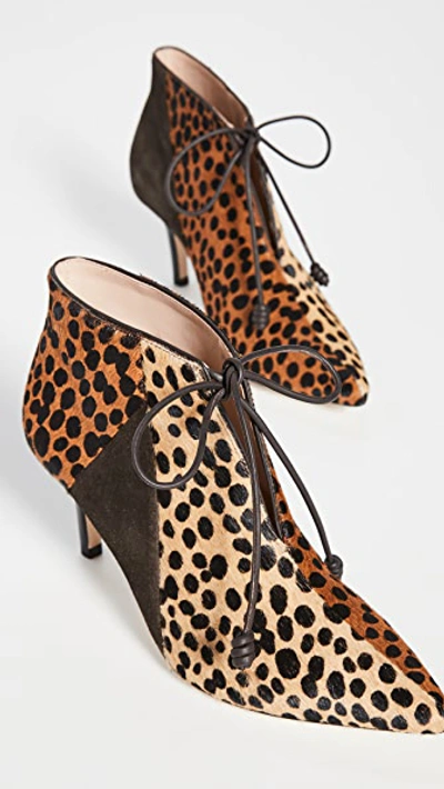 Shop Ulla Johnson Mia Booties In Leopard