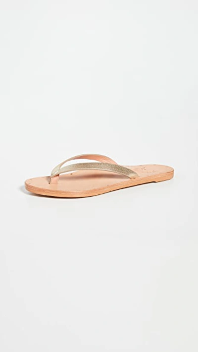 Shop Beek Seabird Flip Flops In Platinum/natural