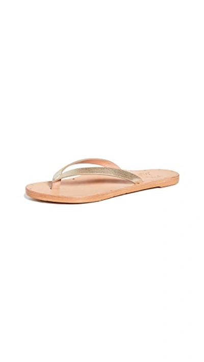 Shop Beek Seabird Flip Flops In Platinum/natural